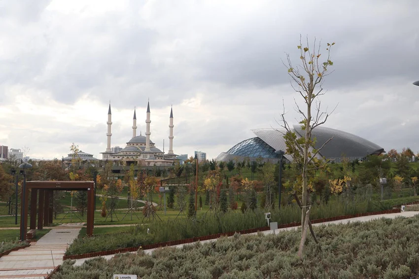 Başkent'in yeni oksijen deposu Beştepe Millet Ormanı açılıyor — 2. fotoğraf