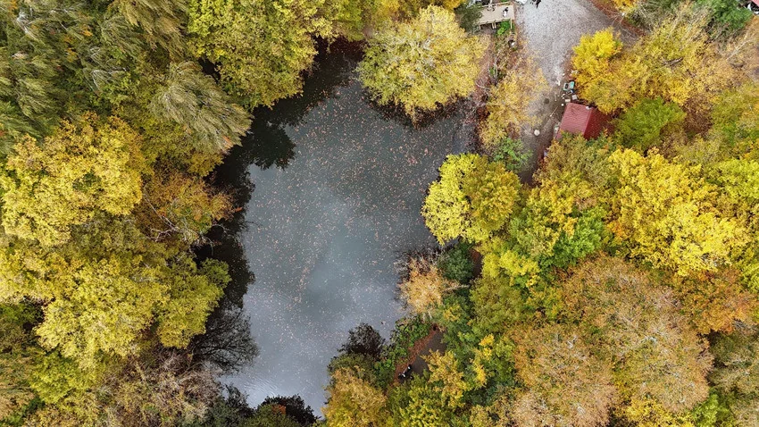Türkiye'nin doğa harikası Yedigöller'de sonbahar manzarası büyüledi — 2. fotoğraf
