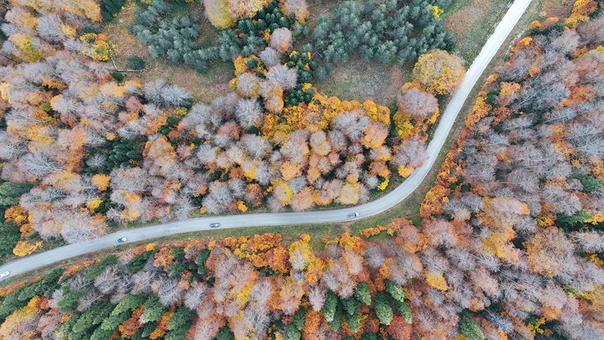 Türkiye'nin doğa harikası Yedigöller'de sonbahar manzarası büyüledi — 10. fotoğraf