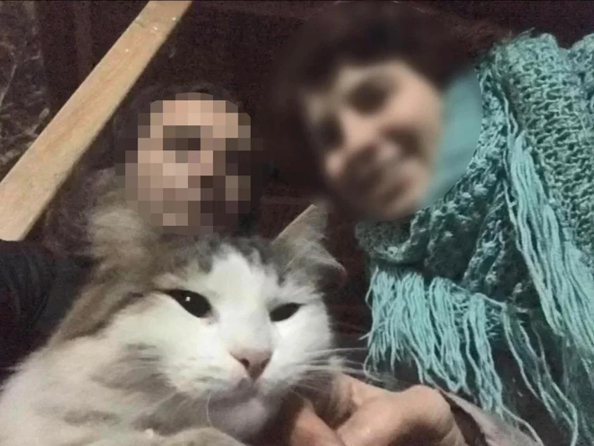 İstanbul'da şüpheli ölüm! Balkondaki kediler korkunç gerçeği ortaya çıkardı — 4. fotoğraf