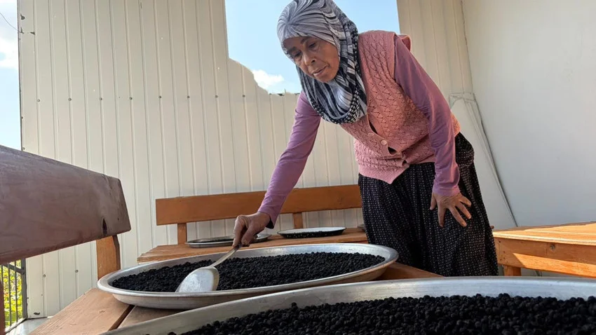Oğlunun tavsiyesiyle ''süper meyve'' yetiştirdi; kapış kapış satılıyor! — 2. fotoğraf