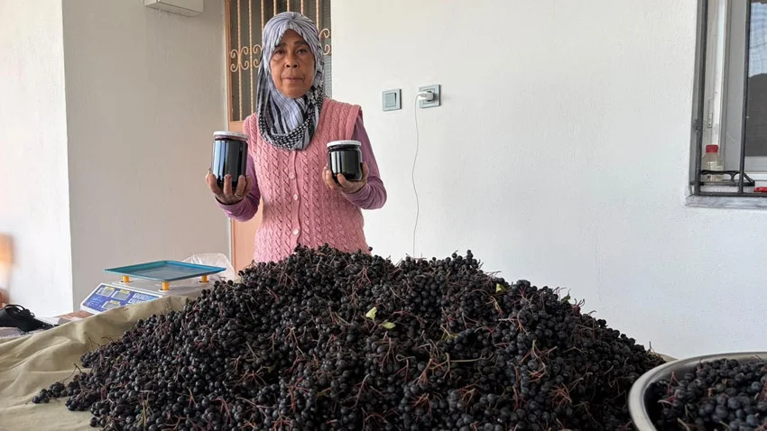 "Bilen 5 Kilodan Aşağı Almıyor" Tarladan tek tek topladığı aronya meyvelerini çok yönlü olarak değerlendiren Necla Akdoğan, ürünlerin bir kısmını kuruturken bir kısmından ise reçel ve meyve suyu hazırlıyor.